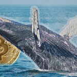 加密貨幣｜「巨鯨大戶」進場提供支撐 比特幣重新站上 2 萬美元｜元宇宙視界傳媒