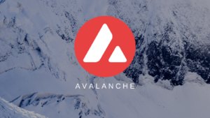 企業區塊鏈｜停止出塊一小時！Avalanche鏈開發團隊表示：更新版本導致｜元宇宙視界傳媒